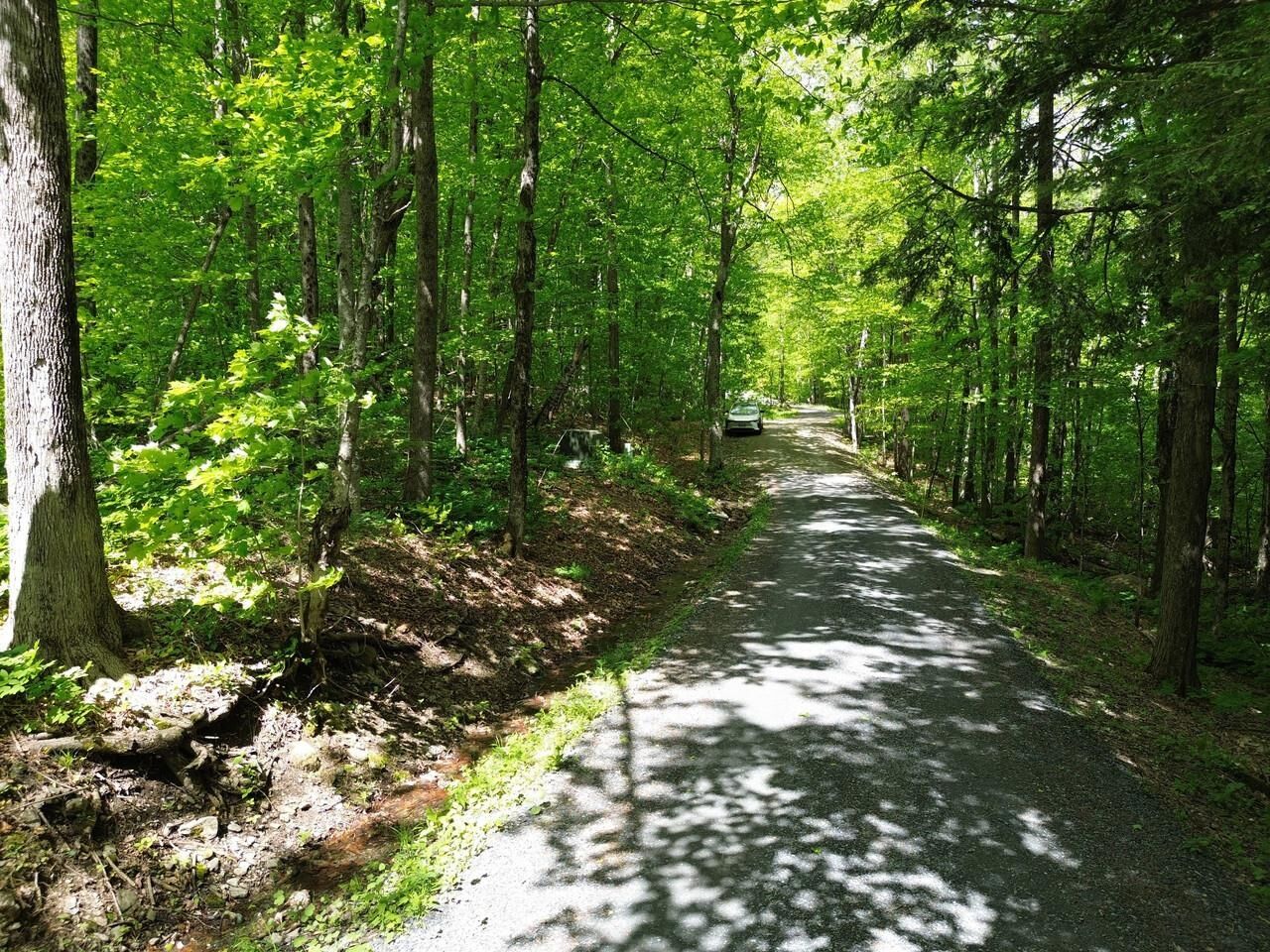 Property Photo: 197 Sugar Ledge Road VT 05674