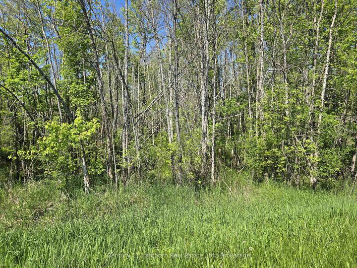 Property Photo:  00 Shannonville Road  ON K0K 1V0 