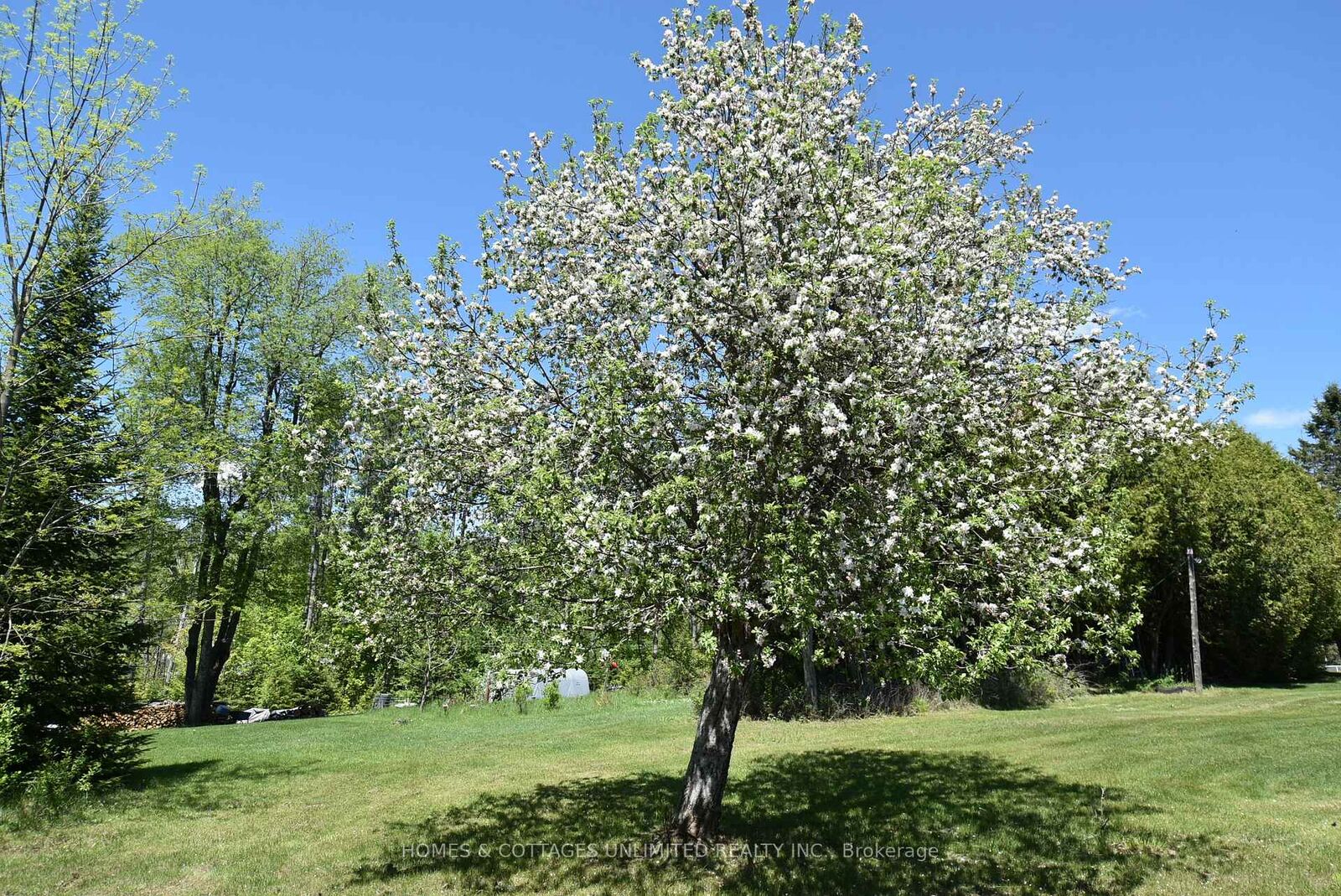 Property Photo: 6628 Buckshot Lake Road ON K0H 2M0