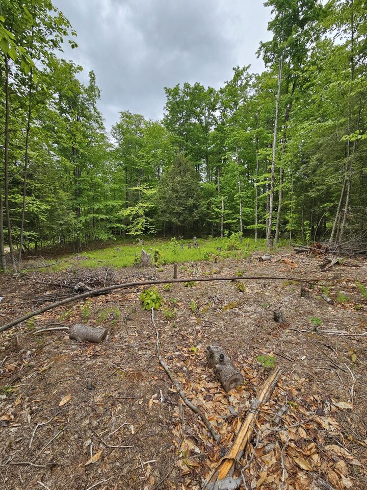 Property Photo: 74 Tamarac Drive NY 12986