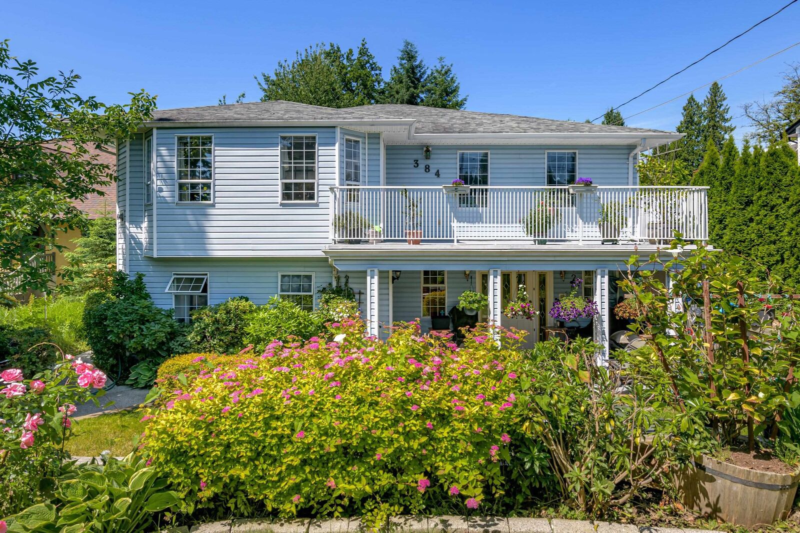Property Photo:  384 Blue Mountain Street  BC V3K 4J8 