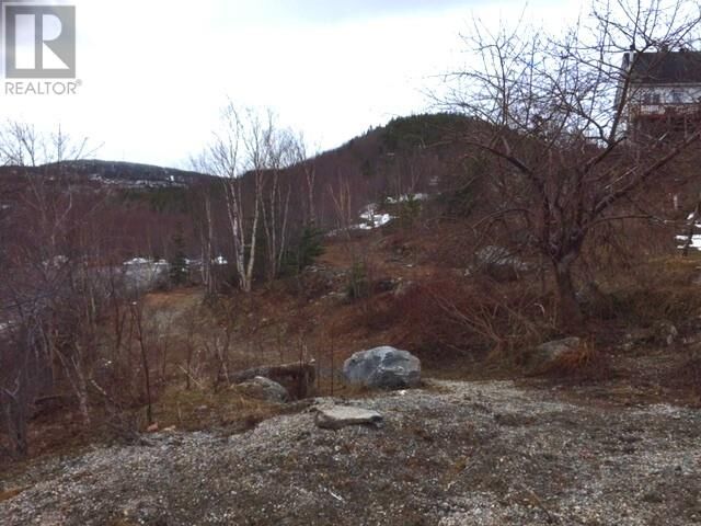 0 Gale Street — photo 1