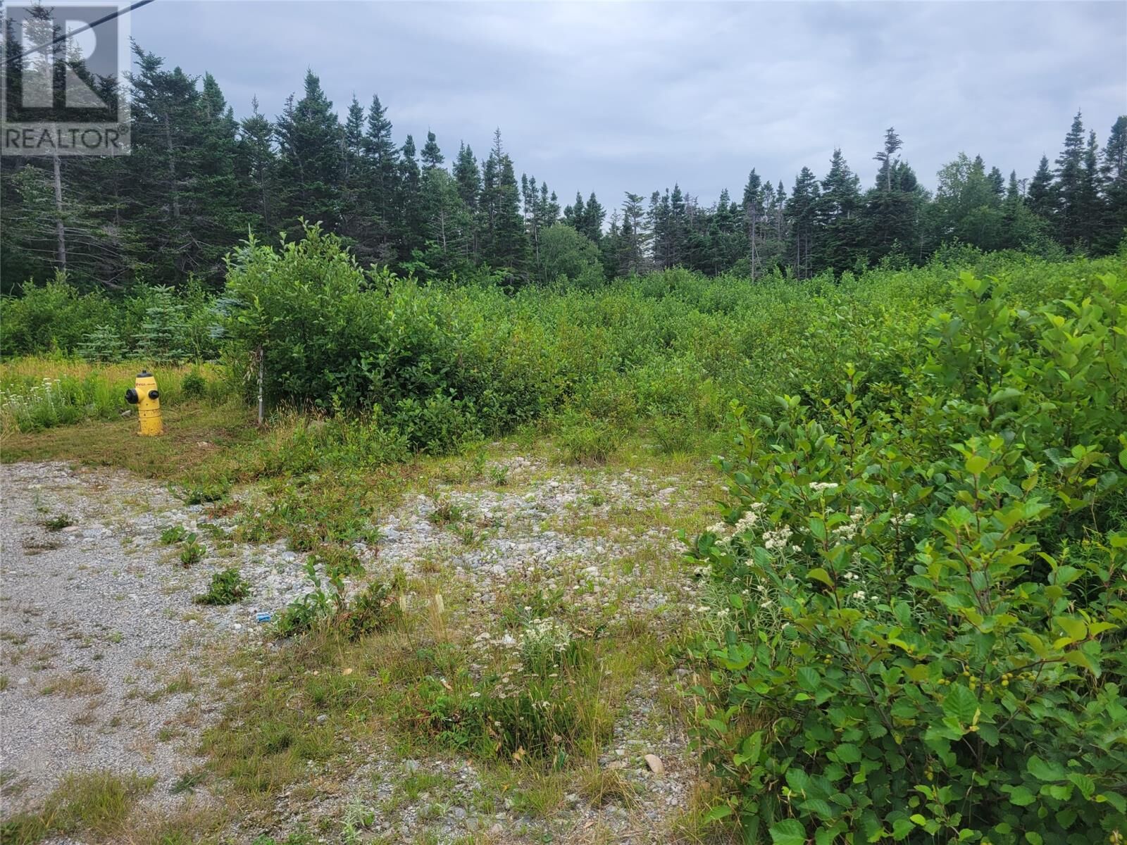 Property Photo:  42-46 Courthouse  NL A0N 1Z0 