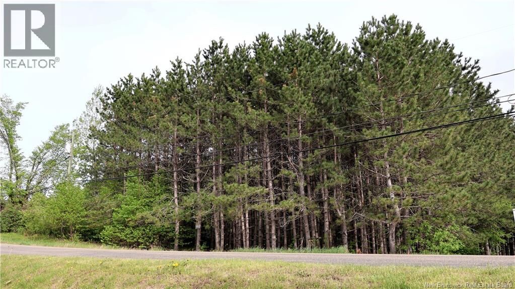 Property Photo:  Vacant Lot 74-1A Cape Breton Rd Road  NB E4P 1V8 