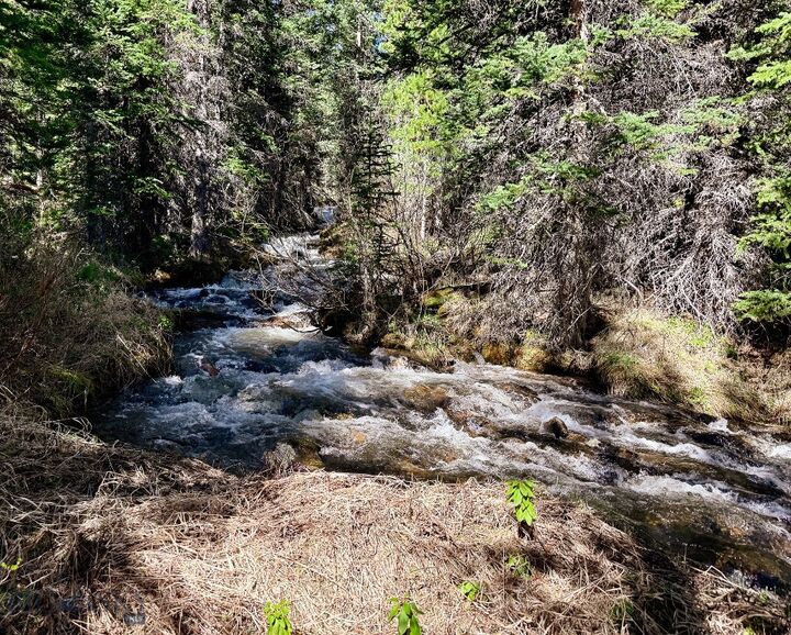 Property Photo:  970 Lower Clear Creek Trail  MT 59711 
