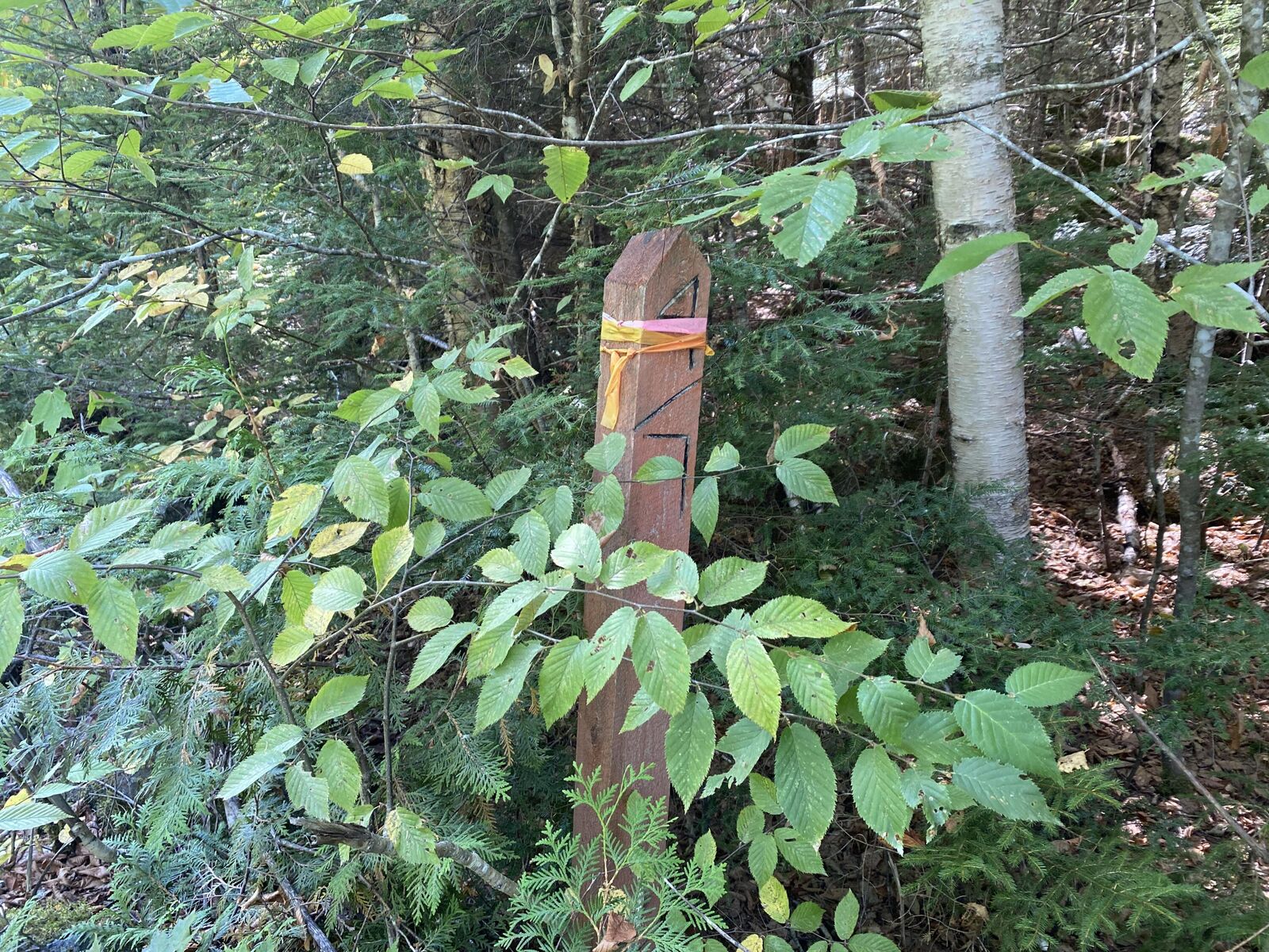 Property Photo:  M06-Lot18b Sys Road  ME 04487 