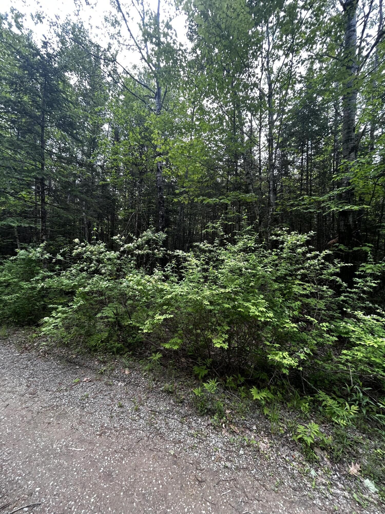 Property Photo:  Lot 9-2 Lilly Drive  ME 04953 