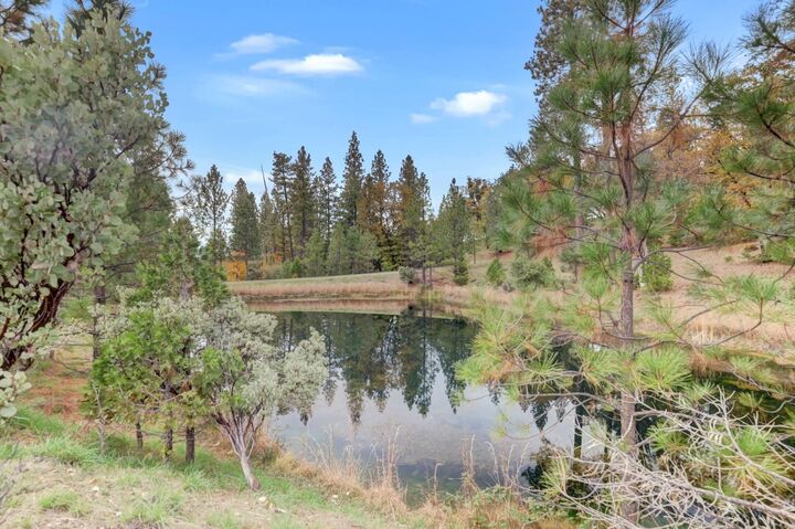 Property Photo:  11826 Logans Run Court  CA 95945 