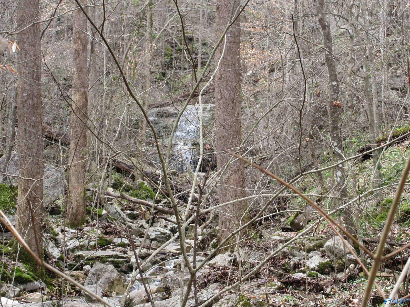 Property Photo:  1958 County Road 32  AL 35752 
