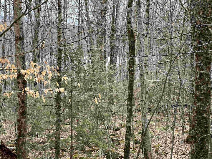 Property Photo:  400 Road Round The Lake  NH 03753 