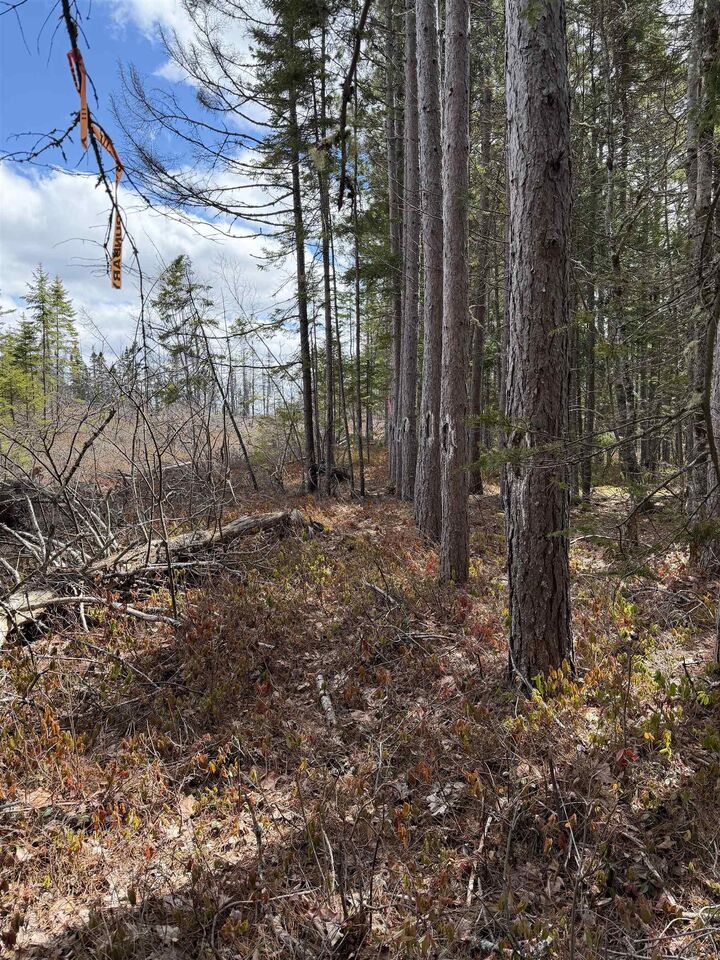 Property Photo:  Lot Cl1 Palmer Road  NS B0M 1Z0 