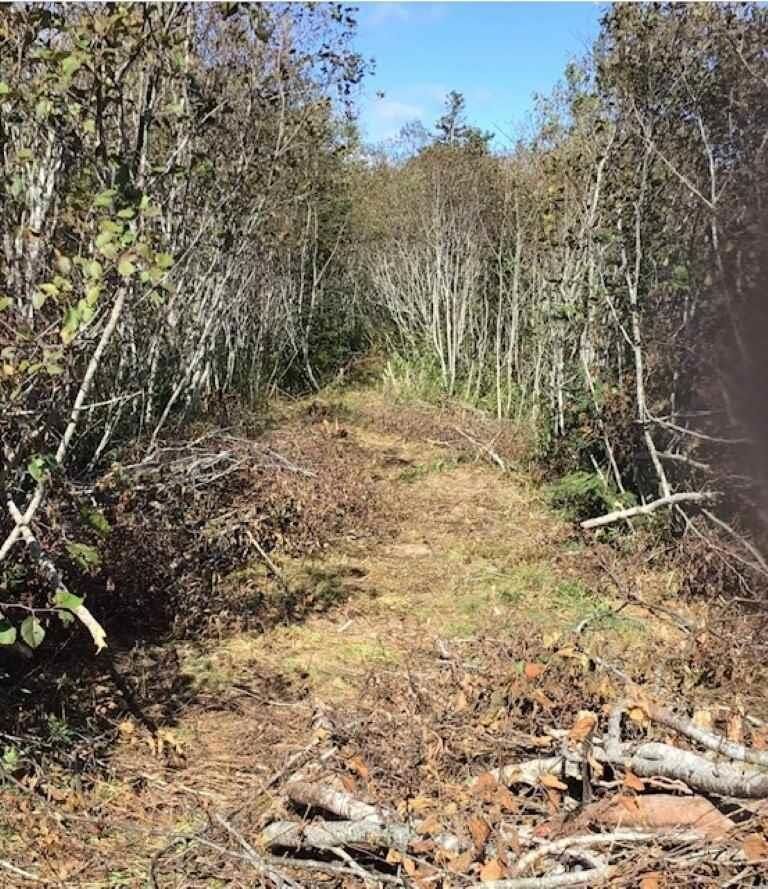 Property Photo:  Lot 1 Lake Doucette Road  NS B0W 2Y0 
