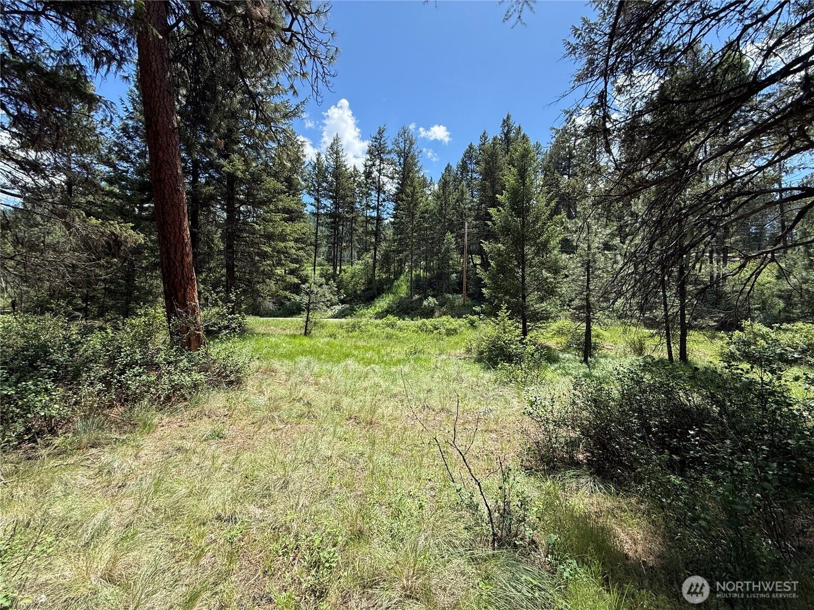 Property Photo:  21  Pine Grove Street  WA 99166 
