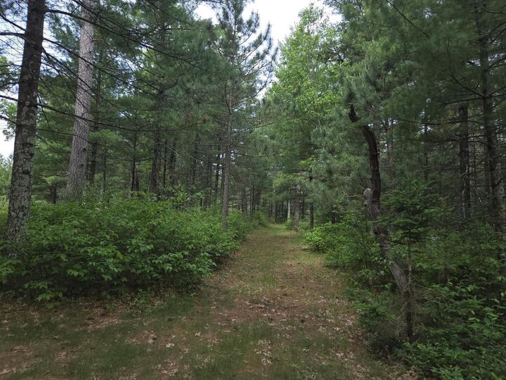 Property Photo: 927 Blackhawk Lane WI 53934