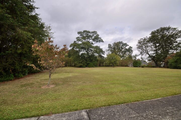 Property Photo:  Lot 1 5th Ave  AL 35055 