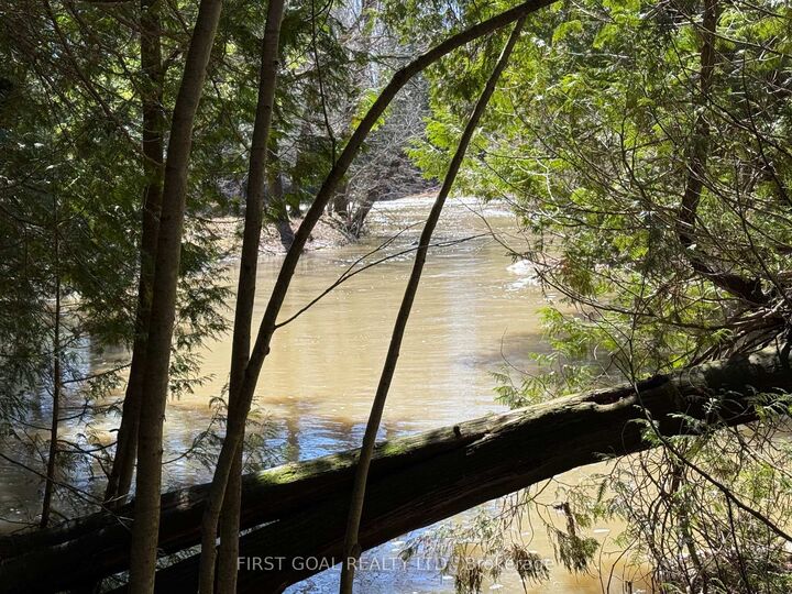 96 Concession 4 E, Tint Concession E — photo 1