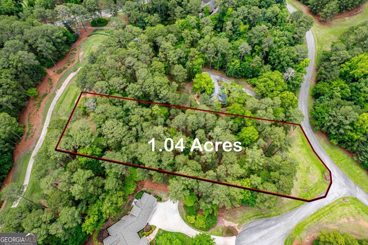Property Photo:  1041 Cedar Ridge Drive  GA 30642 