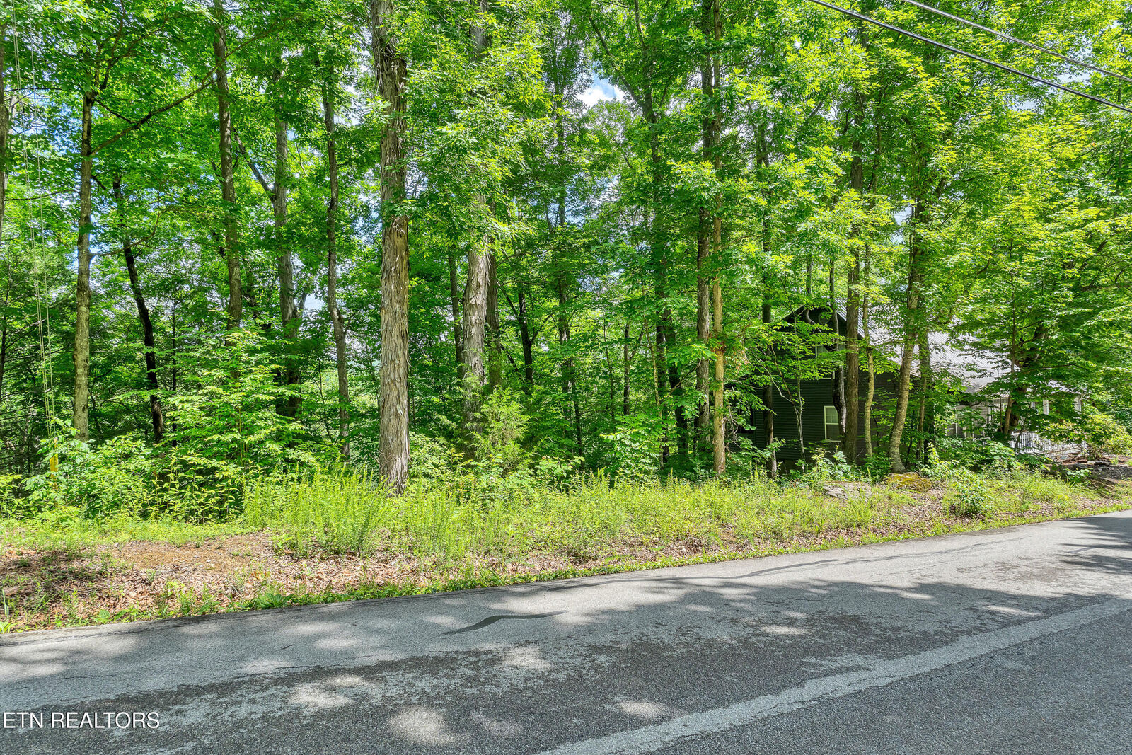 Property Photo:  424 Laurel Rd  TN 37882 