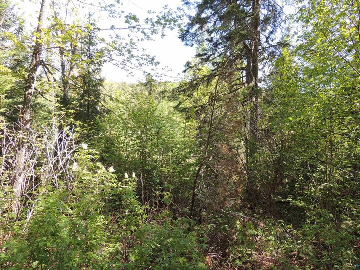 Property Photo: 210 E Deeryard Lake Rd MN 55612