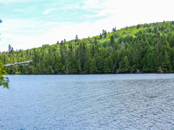 Property Photo:  210 E Deeryard Lake Rd  MN 55612 