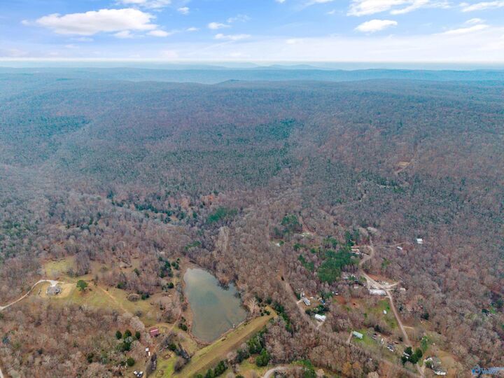 Property Photo: 18 Acres AL 35748