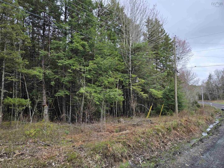 Property Photo:  Lot (Pid 60462025) Lake Road  NS B4V 6G4 