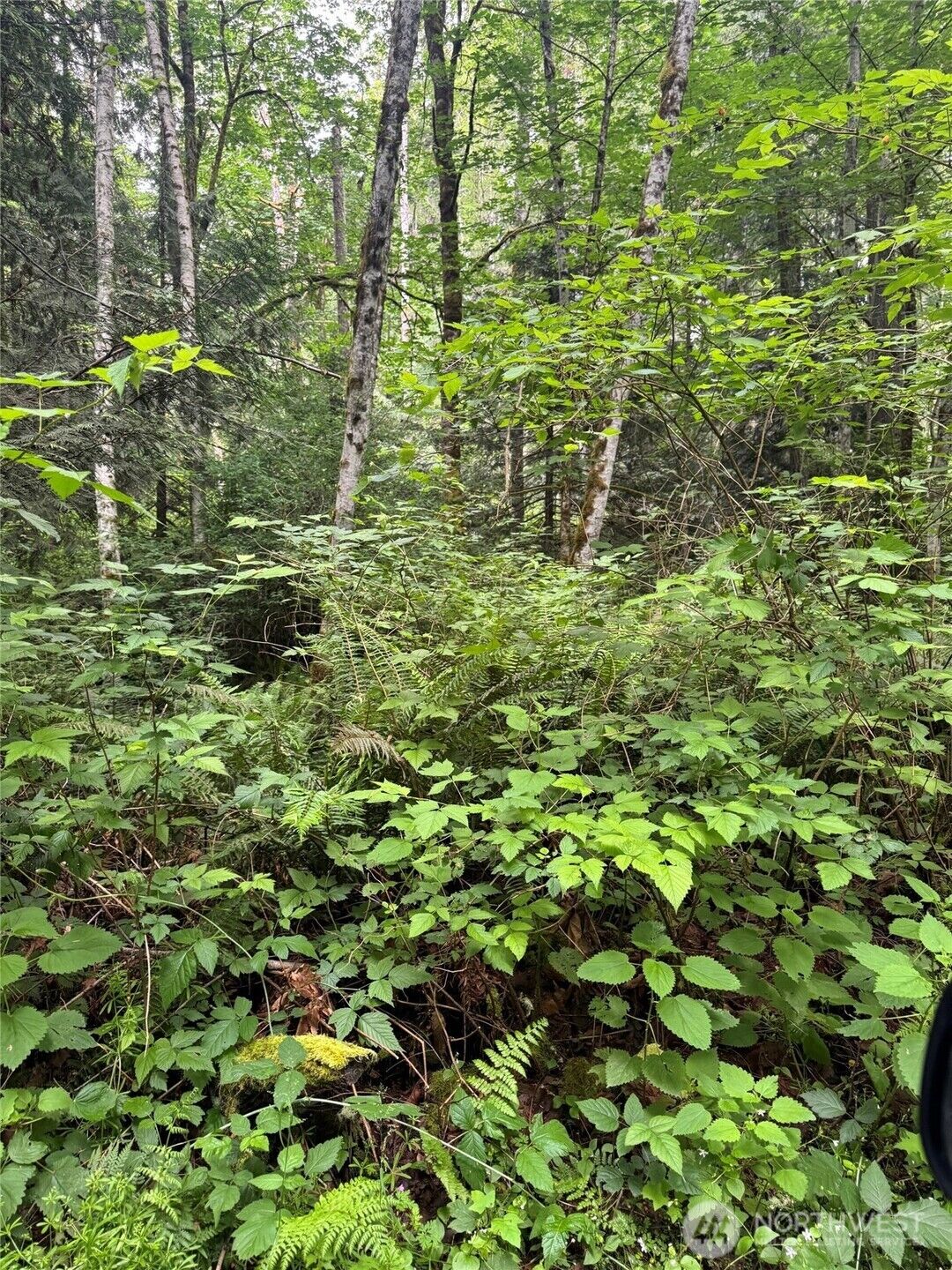 Property Photo:  0 Xx  Widme Road NE  WA 98370 