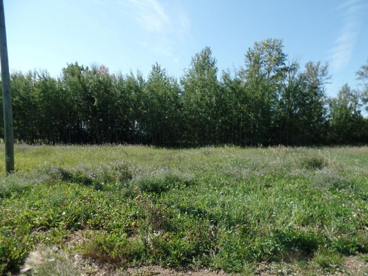 Property Photo:  3 Islandview Road  AB T0A 2C1 