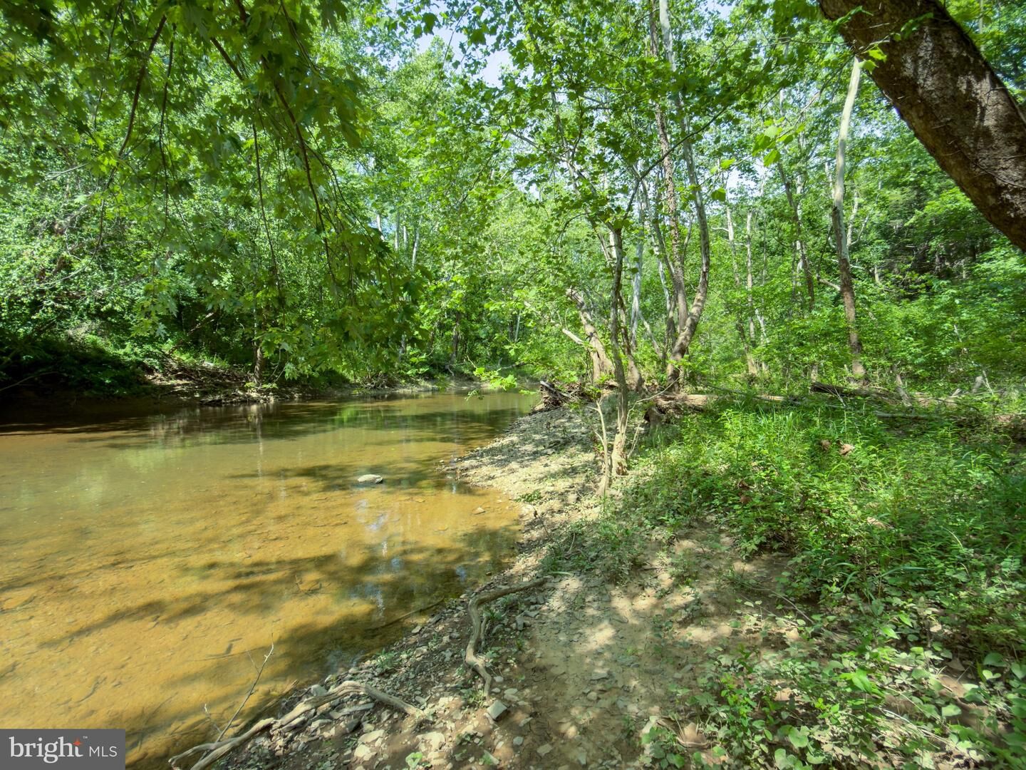 Property Photo:  29 Bluff Trail  WV 25420 