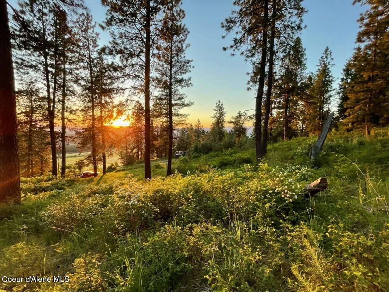 Property Photo: 2276 S Big Rock Rd ID 83854