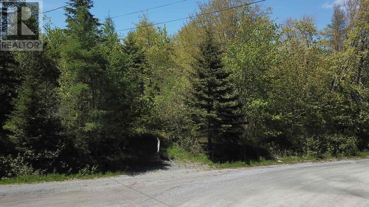 Property Photo:  McMullin Road, Antrim Lot B Road  NS B0N 1Y0 