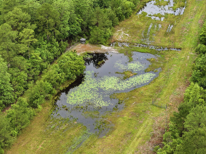 Property Photo:  X Plantation Lane  FL 32433 