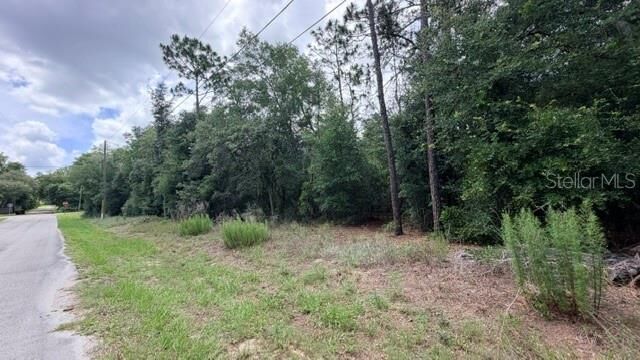 Property Photo:  3223 E Scofield St  FL 34453 