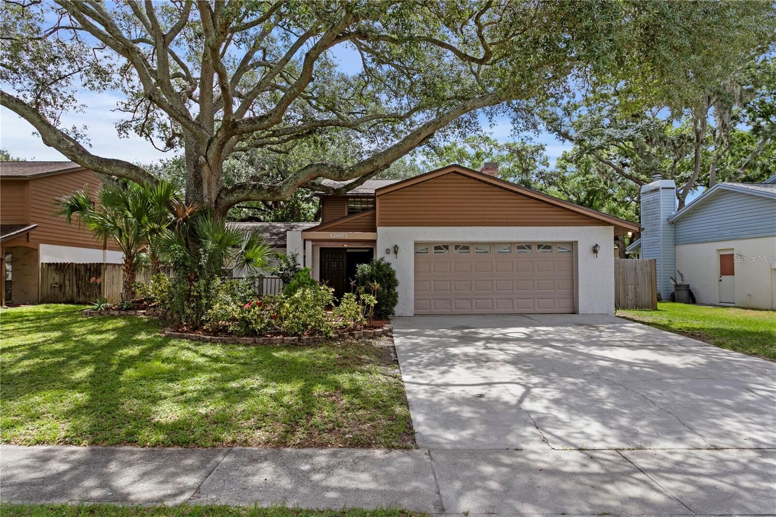 Property Photo:  12603 Rain Forest Street  FL 33617 