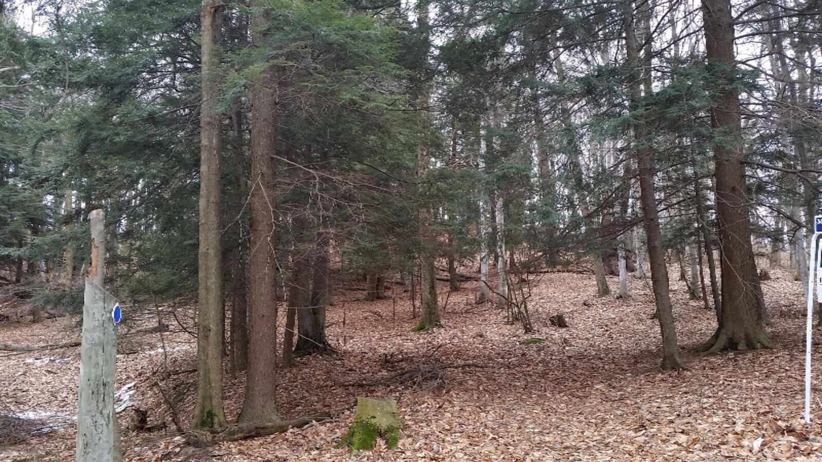 Property Photo:  S Sable Pointe Drive  MI 49455 