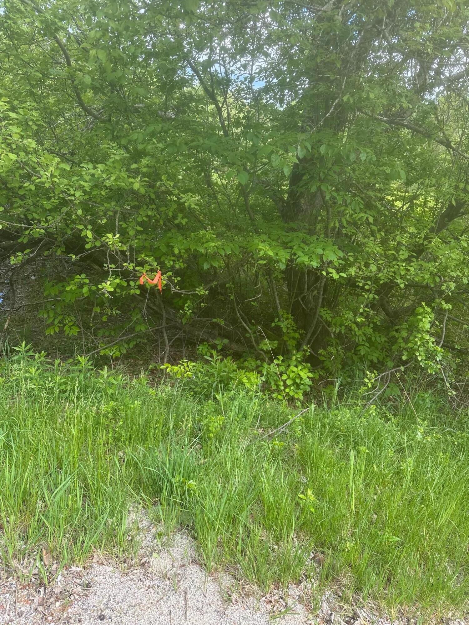 Property Photo: Lot 5 Unionville Road ME 04680