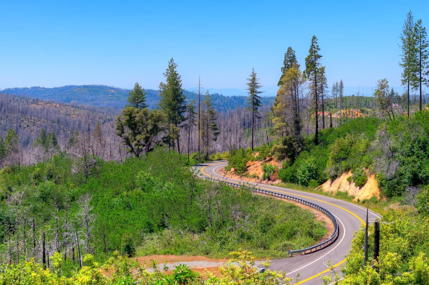 Property Photo:  0 Oro Quincy Highway  CA 95916 