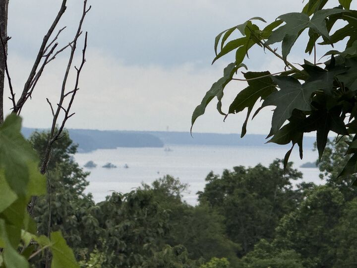 Property Photo: 0 Lake Ridge Dr TN 37175