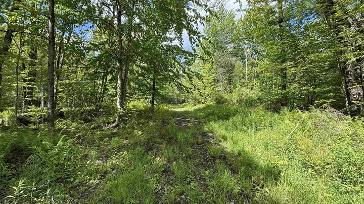 Property Photo: 716 Cemetery Road VT 05656