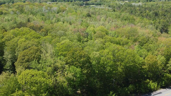 Property Photo:  Lot 202 Victoria Road  NS B0P 1C0 