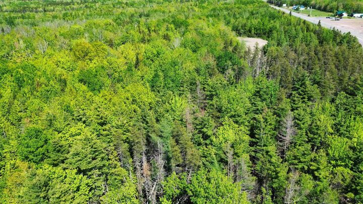 Property Photo:  V/L 368 Highway  NS B0M 1Z0 