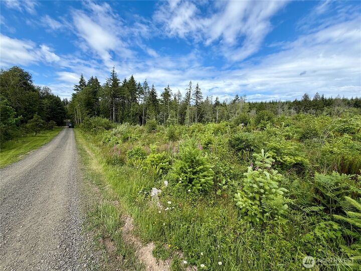 Property Photo:  0 Tr10 SE Wellswood Way  WA 98584 