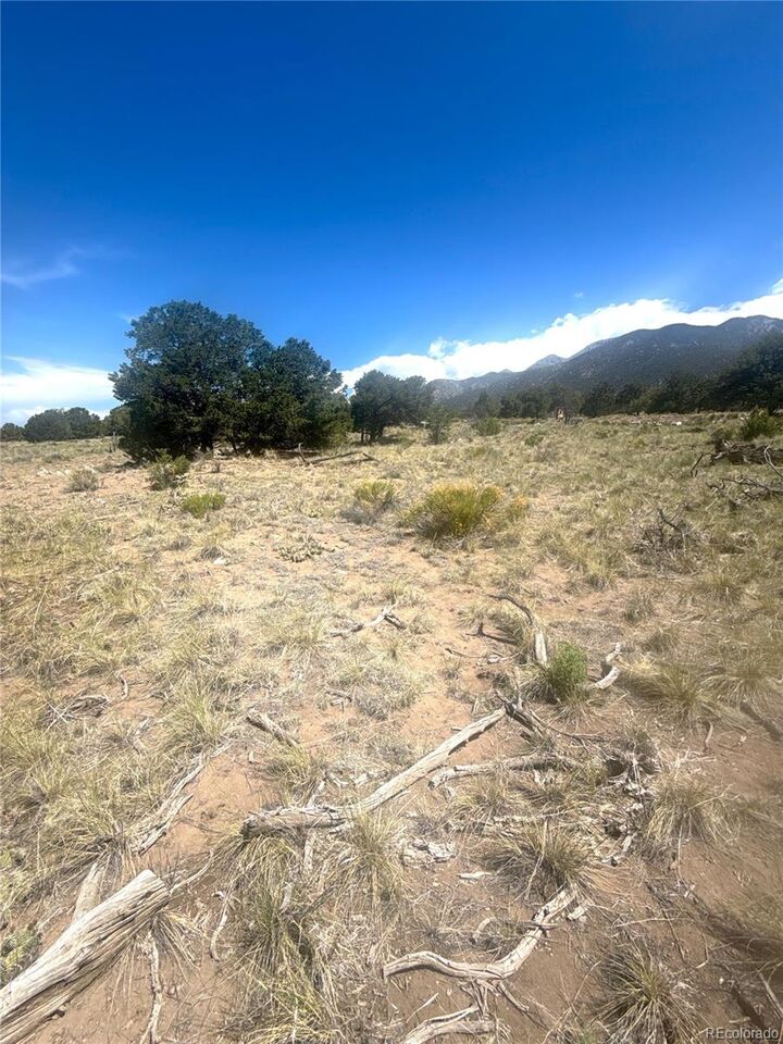 Property Photo:  4472 Greenview Court  CO 81131 