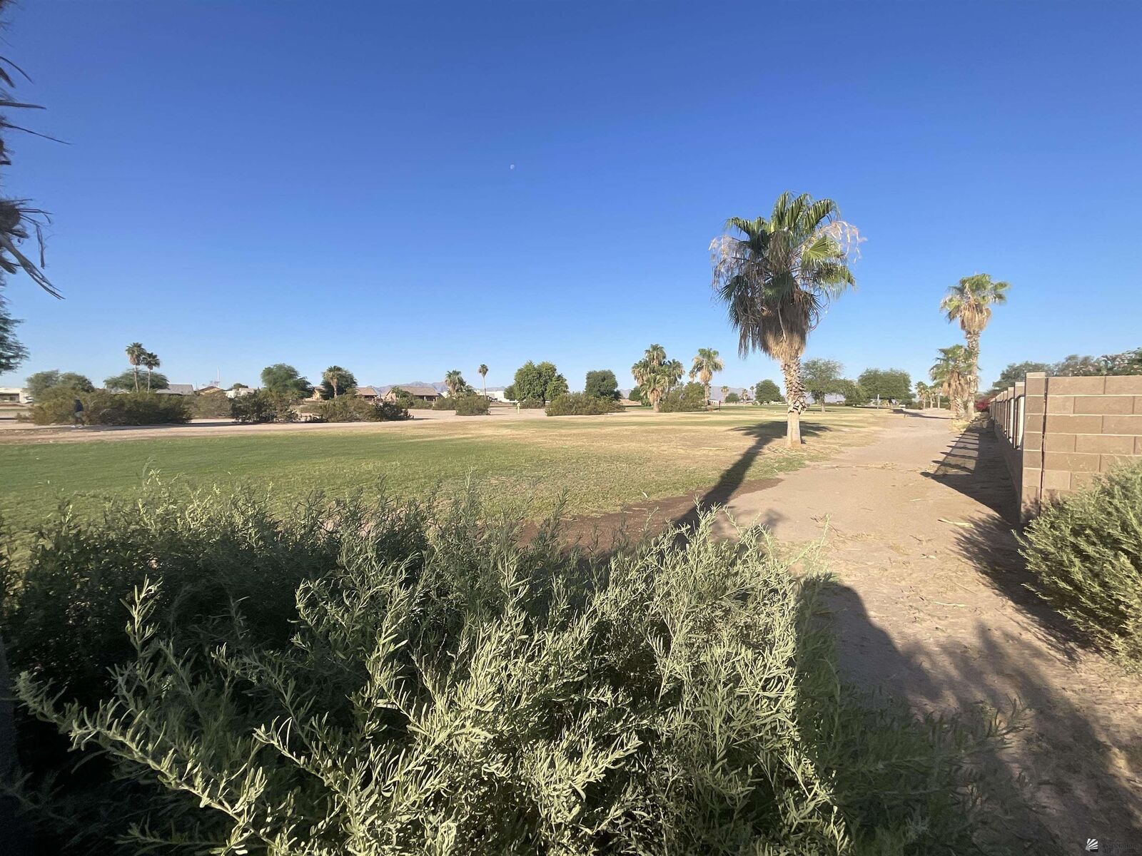 Property Photo: 29837 E Mountain View Ave AZ 85356