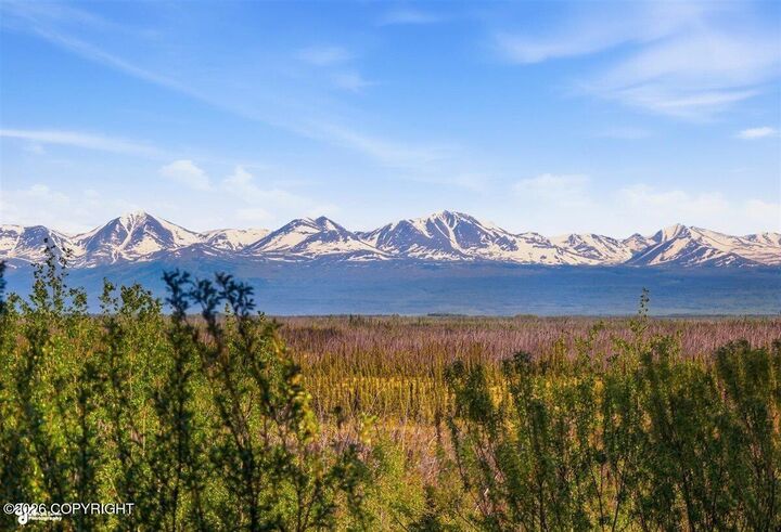 Property Photo: 36210 Cottontree Lane AK 99672