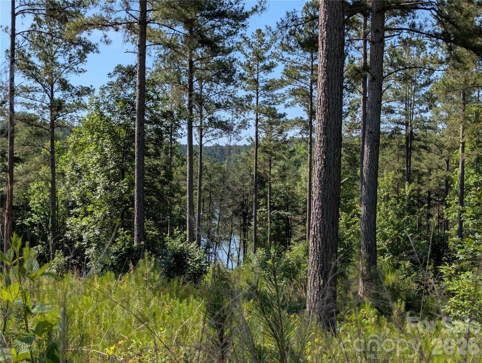 Property Photo: 2134 Princeton Mountain Mountain 60 NC 28612