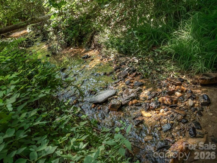 Property Photo:  473 McEntire Road  NC 28782 