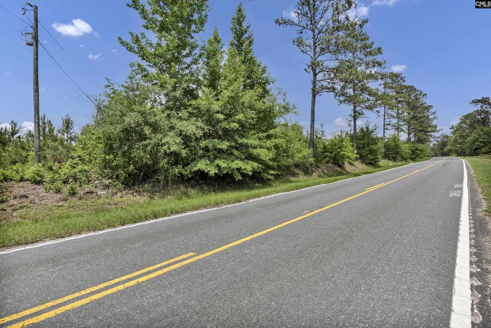 Property Photo:  Na Bull Swamp  SC 29112 