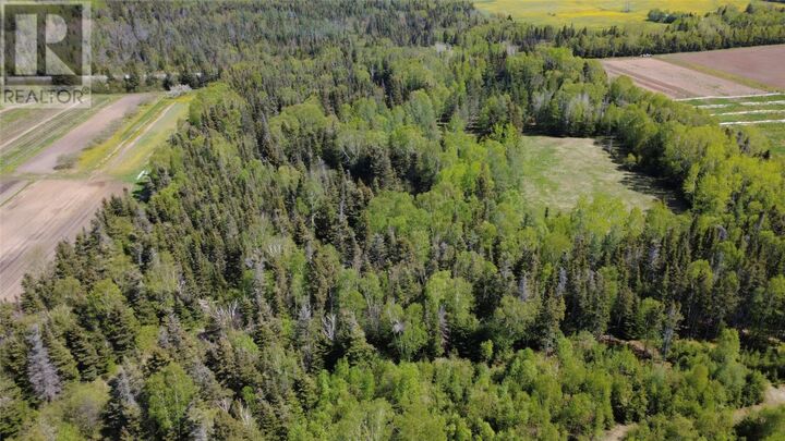 Property Photo:  97 C Main Street  NL A0L 1K0 