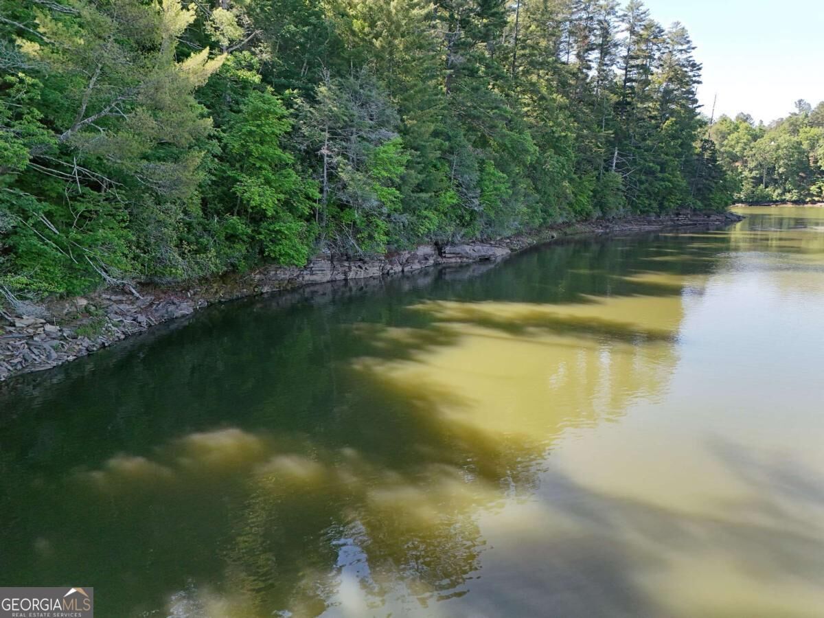 Property Photo:  Lot 2 Big Knoll Drive 2  GA 30512 